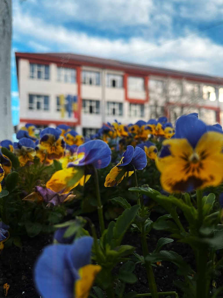 Caleidoscop de zâmbete și culori